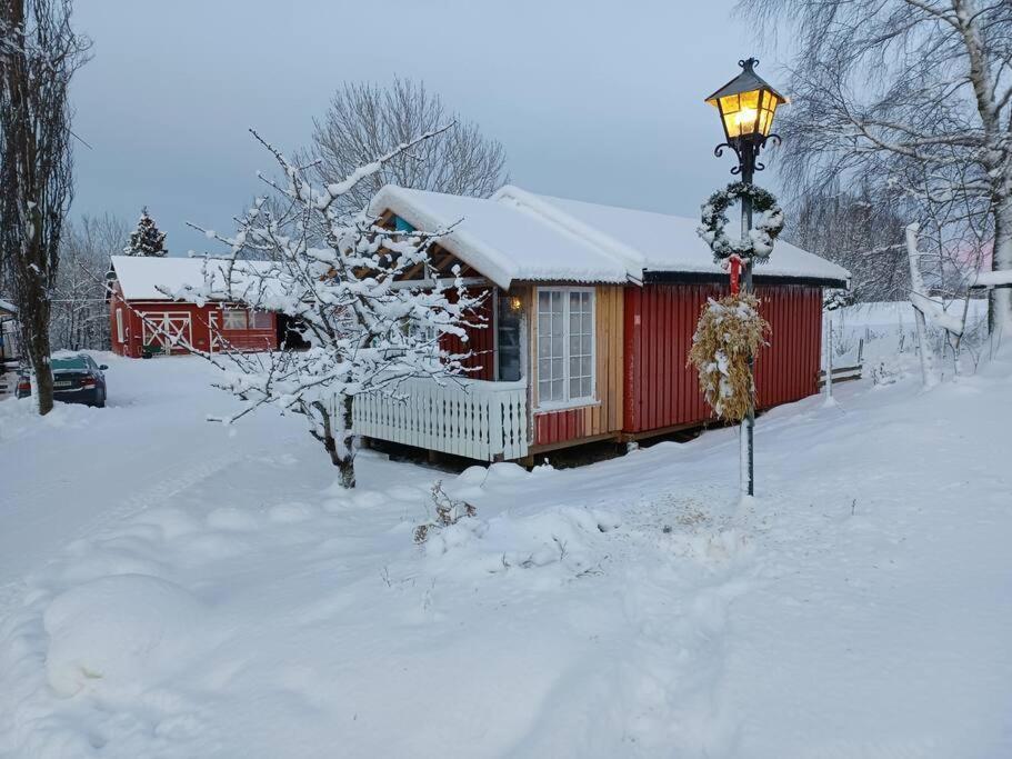 Åsen Idyllisk Minihus I Landlige Omgivelser - Med 5 Sengeplasser Og Parkering מראה חיצוני תמונה